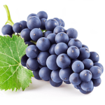 icon_luiz-argenta-historia-uva